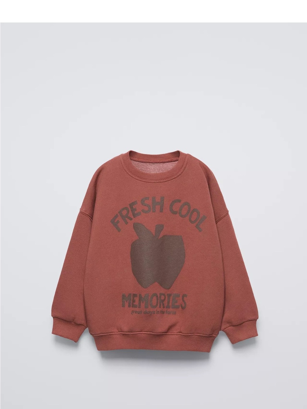 Zara Rust Red 'Fresh Cool Memories' Graphic Sweatshirt